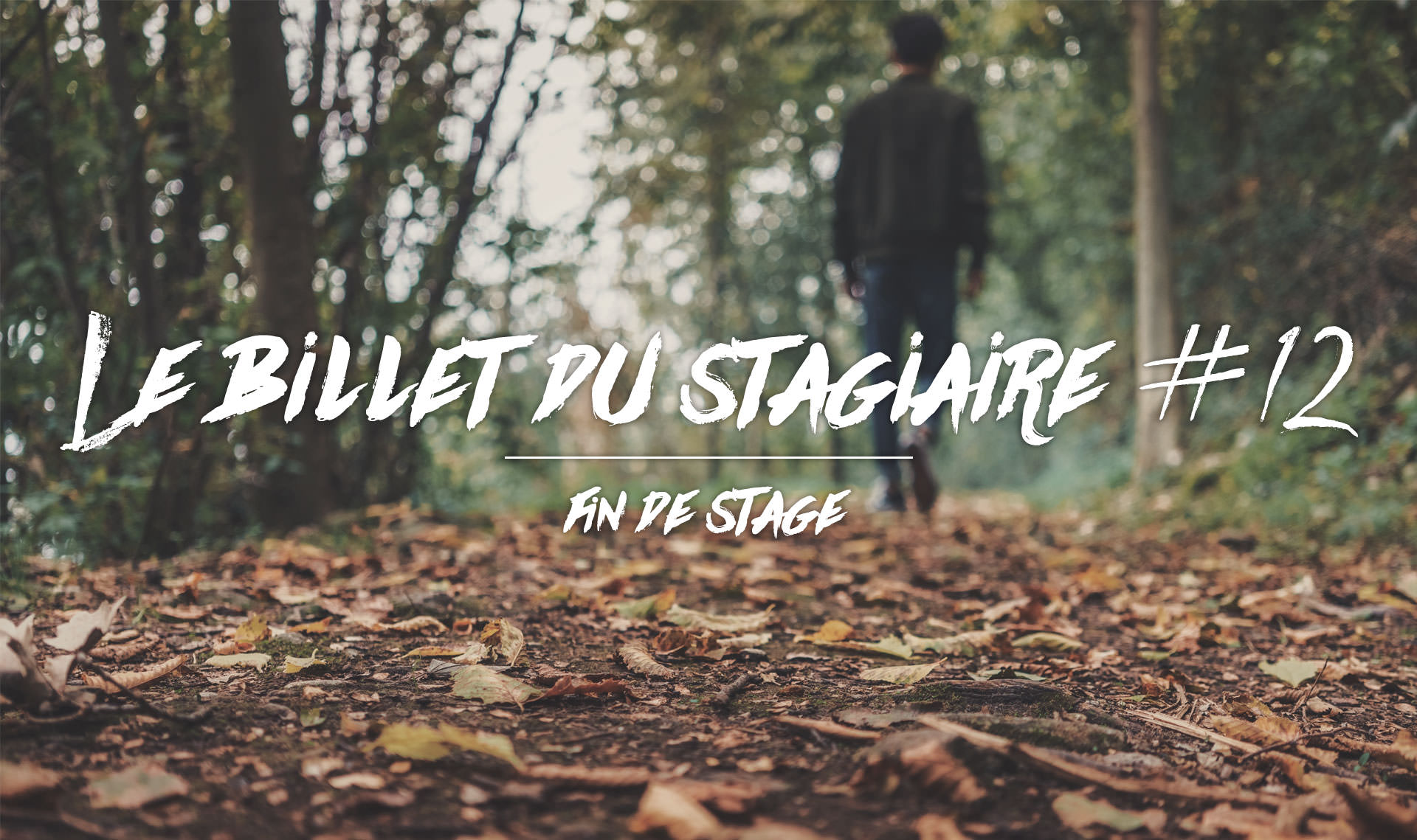 Fin de stage